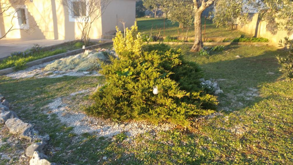 Apartment Nika Σίμπενικ Εξωτερικό φωτογραφία